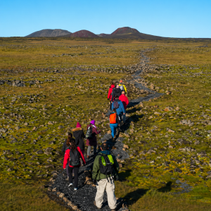 Guided Hiking Tour